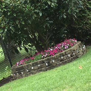 Meet your Posher, Gavin